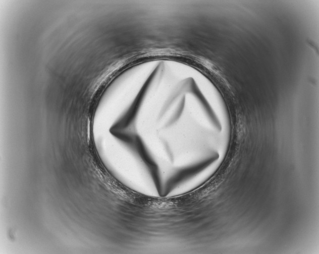 X0000099401221200805291203