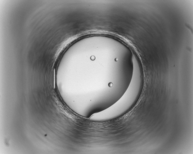 X0000099401223200805291203