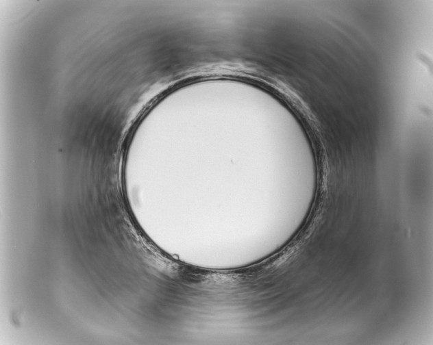 X0000099401224200805291203