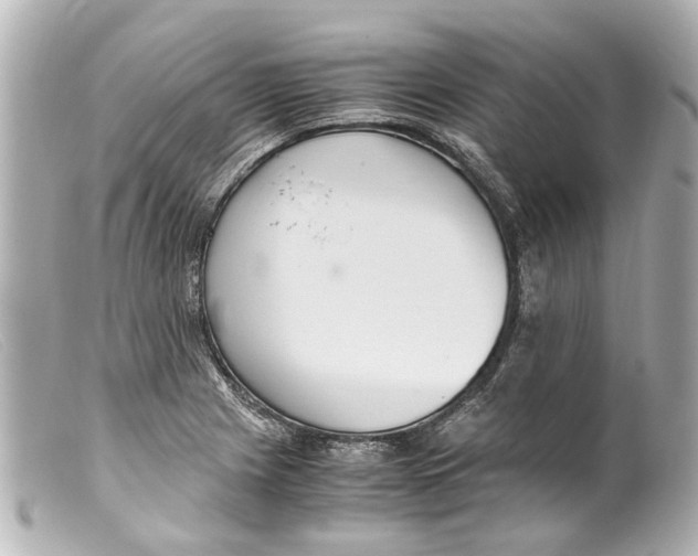 X0000099401225200805291203