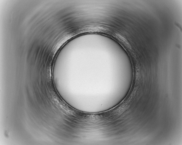 X0000099401226200805291203