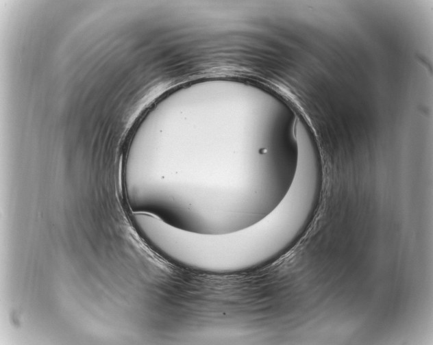 X0000099401227200805291203