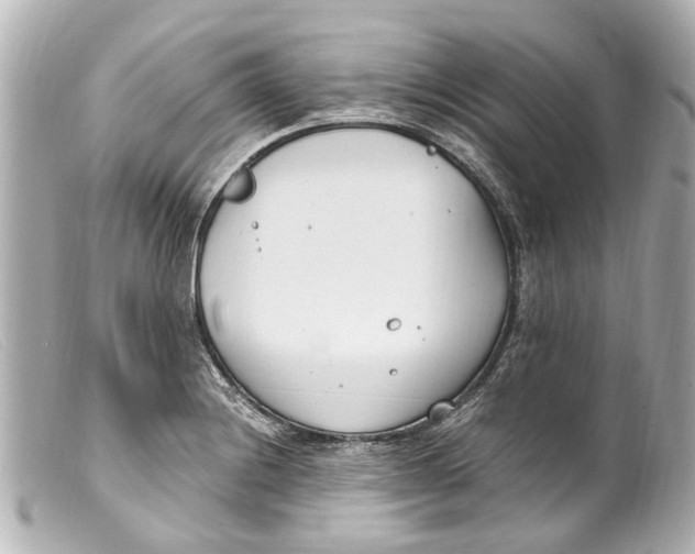 X0000099401228200805291203