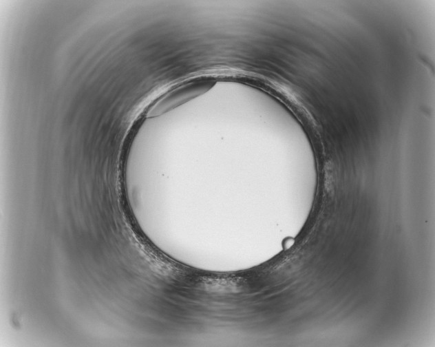 X0000099401229200805291203