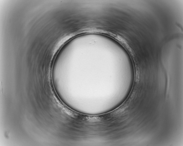 X0000099401231200805291203