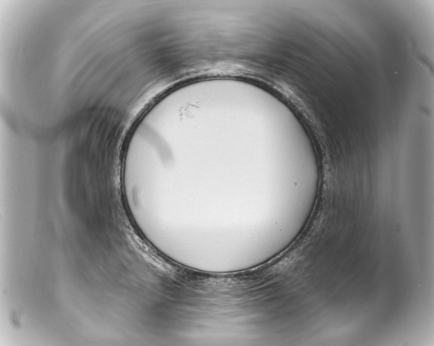 X0000099401232200805291203