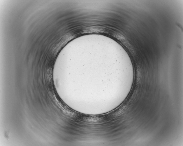 X0000099401233200805291203