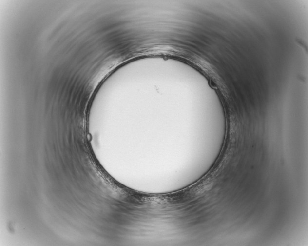 X0000099401234200805291203