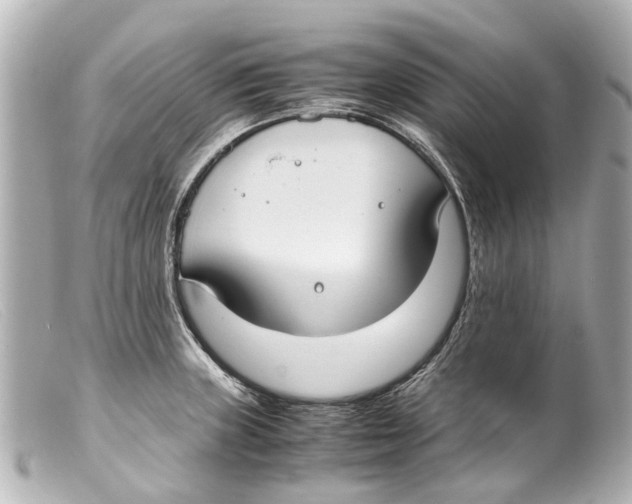 X0000099401235200805291203