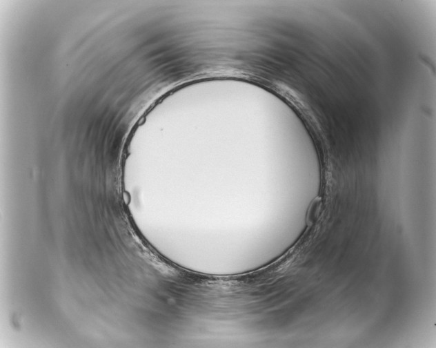 X0000099401236200805291203