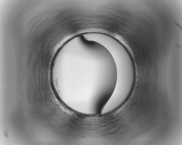 X0000099401237200805291203