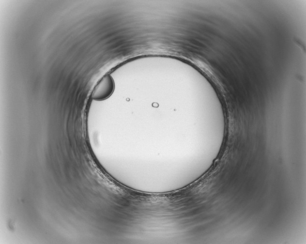 X0000099401238200805291203