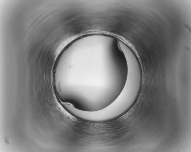 X0000099401239200805291203