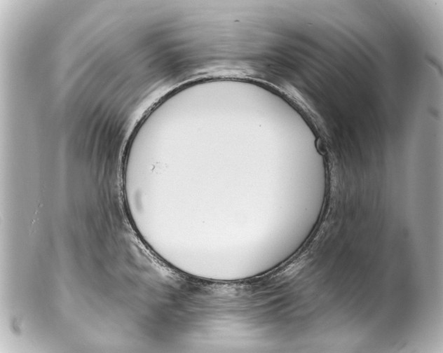 X0000099401240200805291203