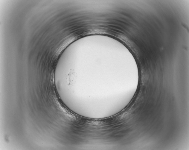 X0000099401241200805291203