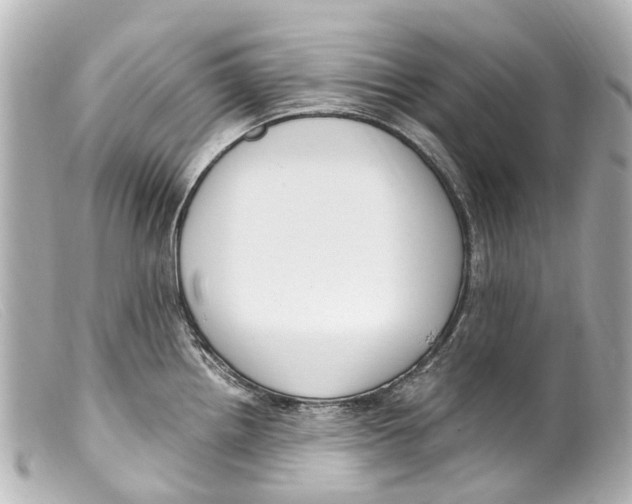 X0000099401242200805291203