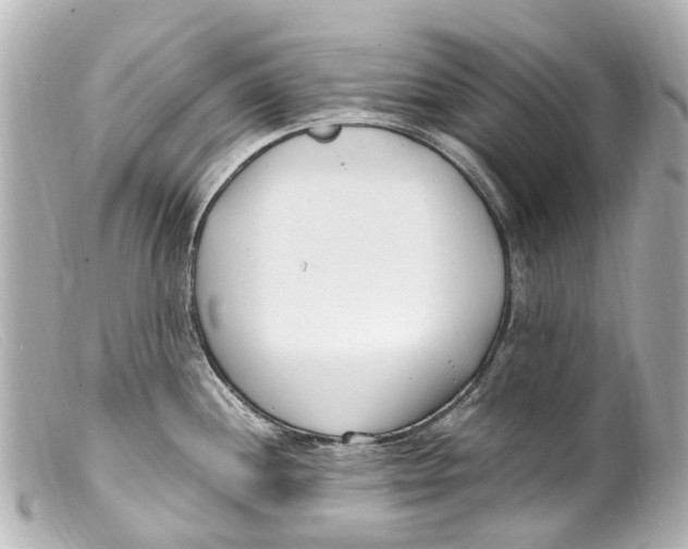 X0000099401244200805291203