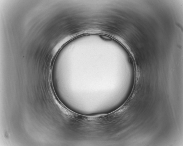 X0000099401245200805291203