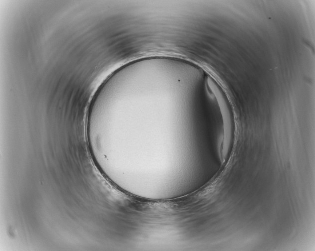 X0000099401246200805291203