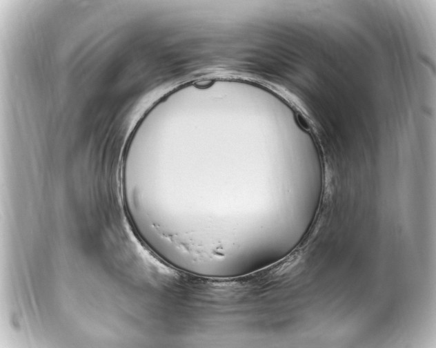 X0000099401247200805291203