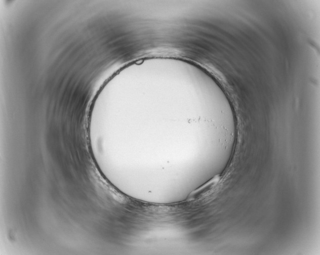 X0000099401248200805291203