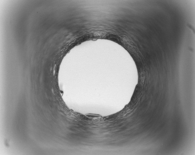 X0000099401249200805291203