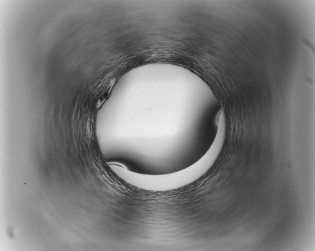 X0000099401250200805291203