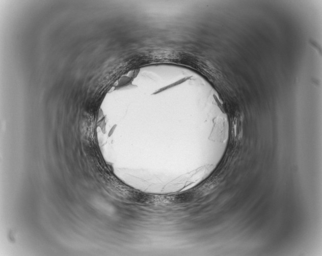 X0000099401251200805291203