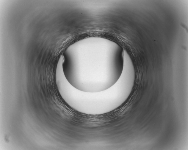 X0000099401252200805291203