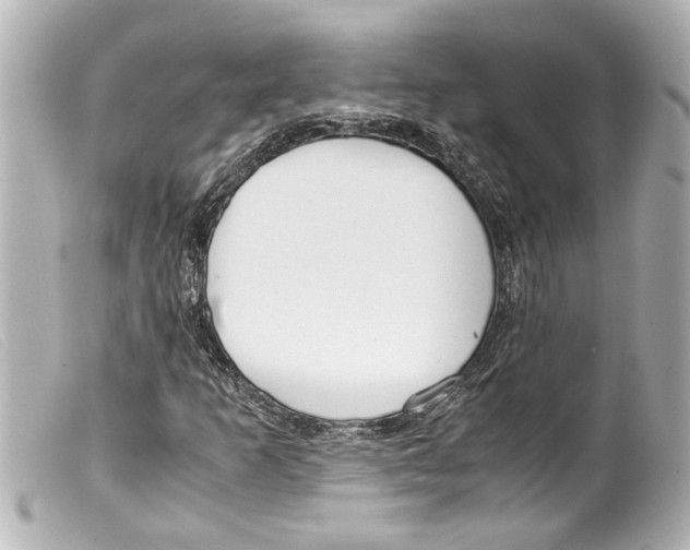 X0000099401253200805291203