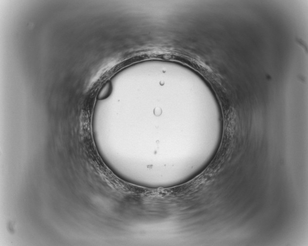 X0000099401255200805291203