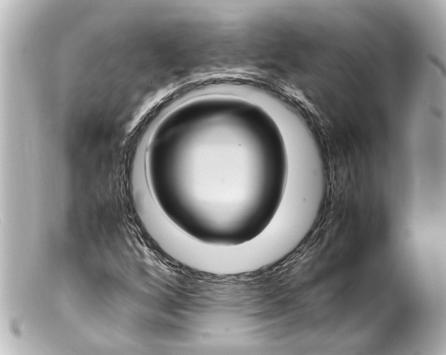 X0000099401256200805291203