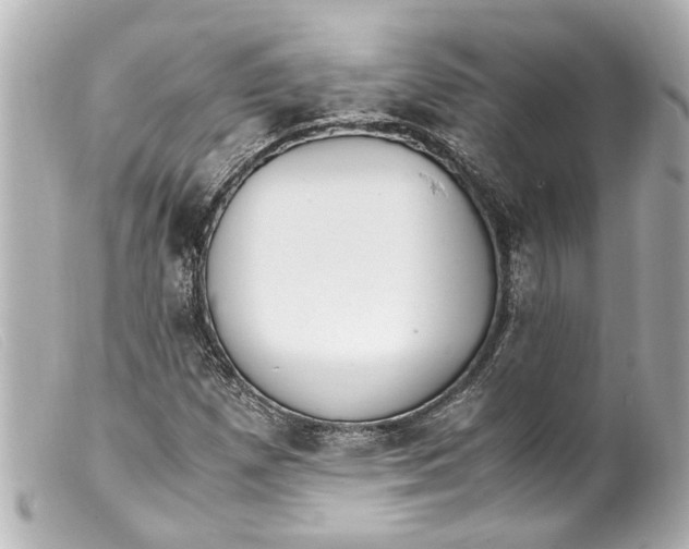 X0000099401257200805291203