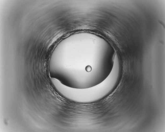 X0000099401258200805291203