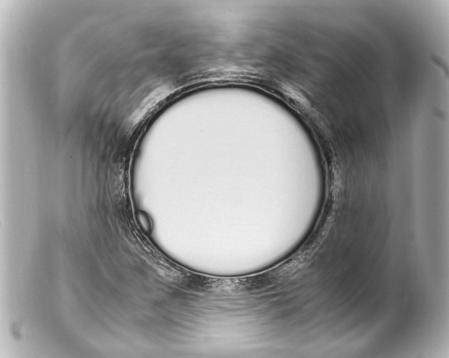 X0000099401259200805291203