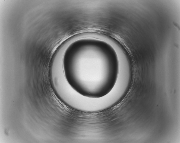 X0000099401260200805291203