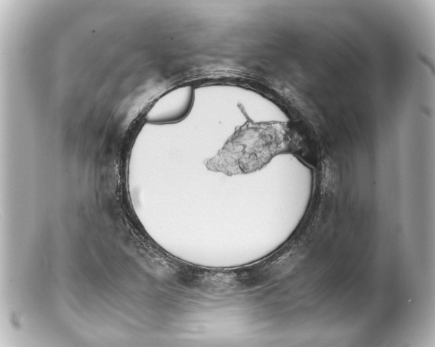 X0000099401261200805291202