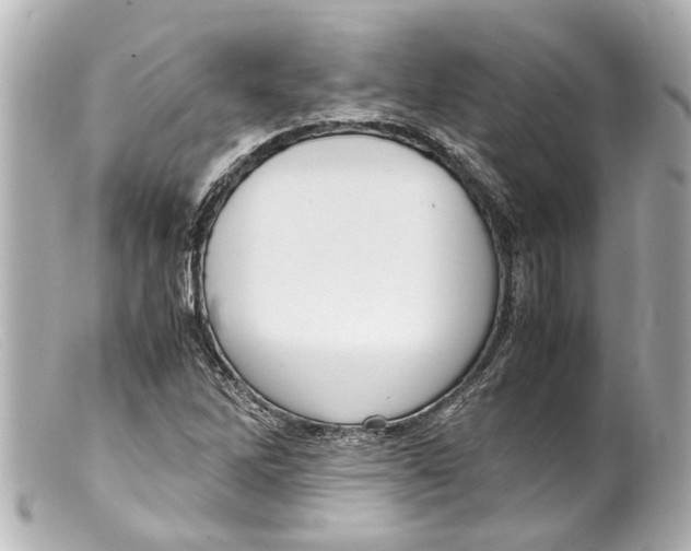 X0000099401262200805291202