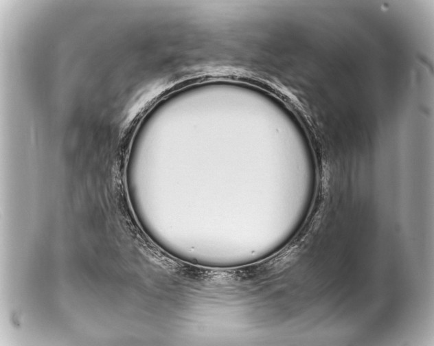 X0000099401263200805291202