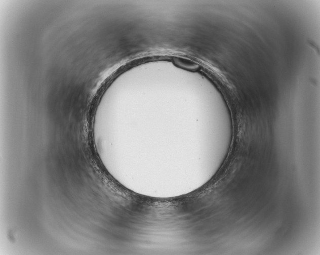 X0000099401264200805291202