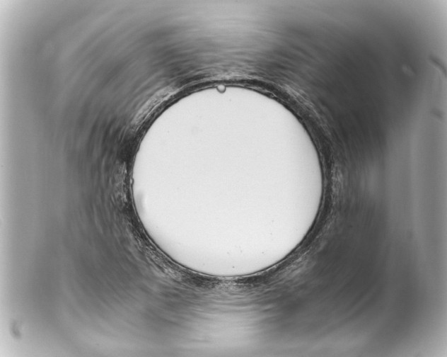 X0000099401265200805291202