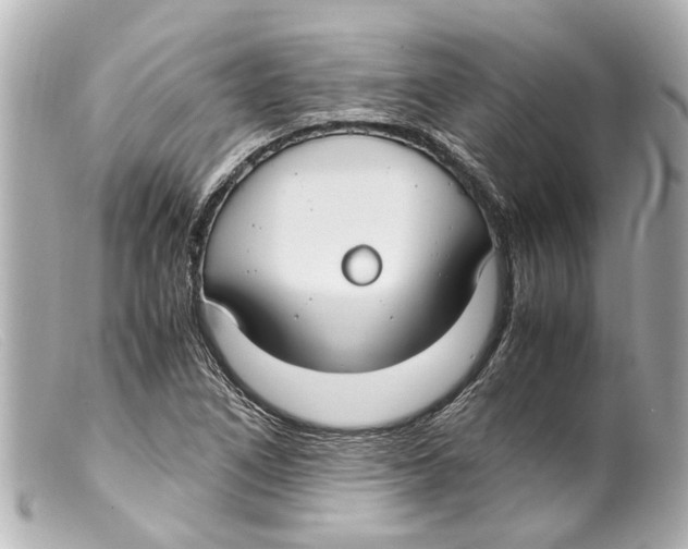 X0000099401266200805291202