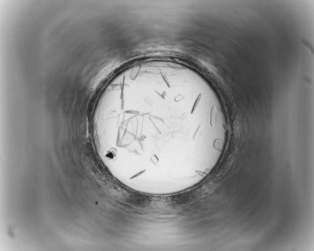 X0000099401267200805291202