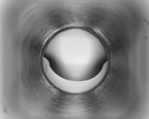 X0000099401268200805291202