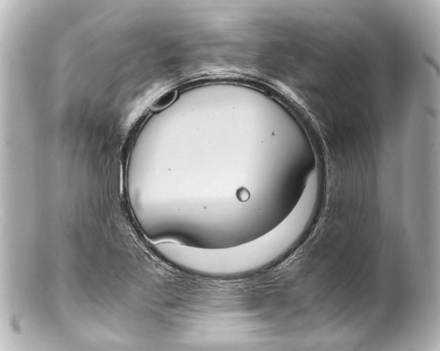 X0000099401269200805291202