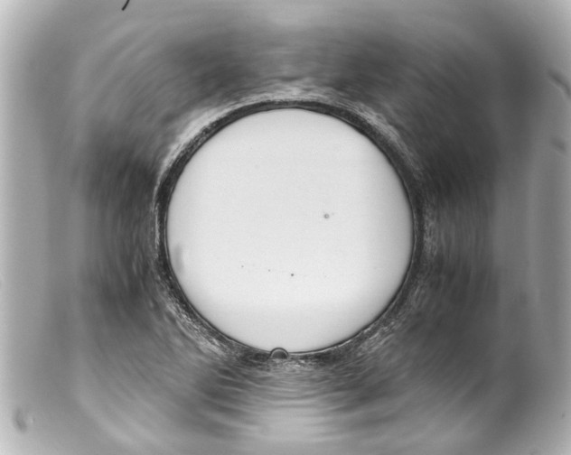 X0000099401270200805291202