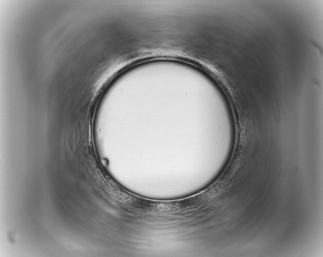 X0000099401271200805291202