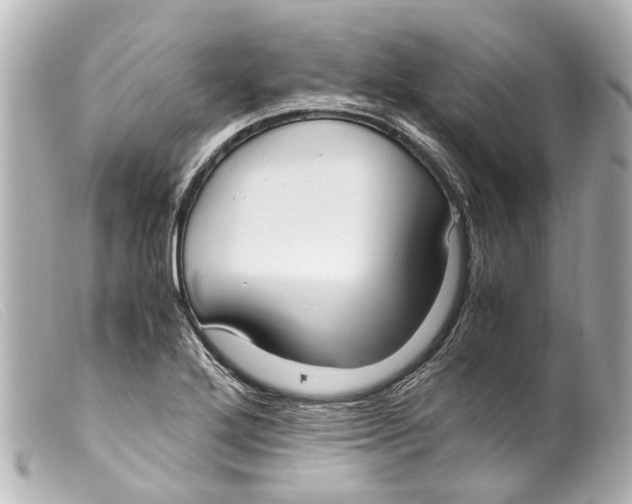 X0000099401272200805291202