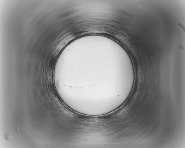 X0000099401273200805291202