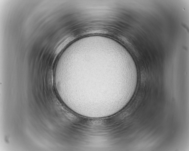 X0000099401274200805291202